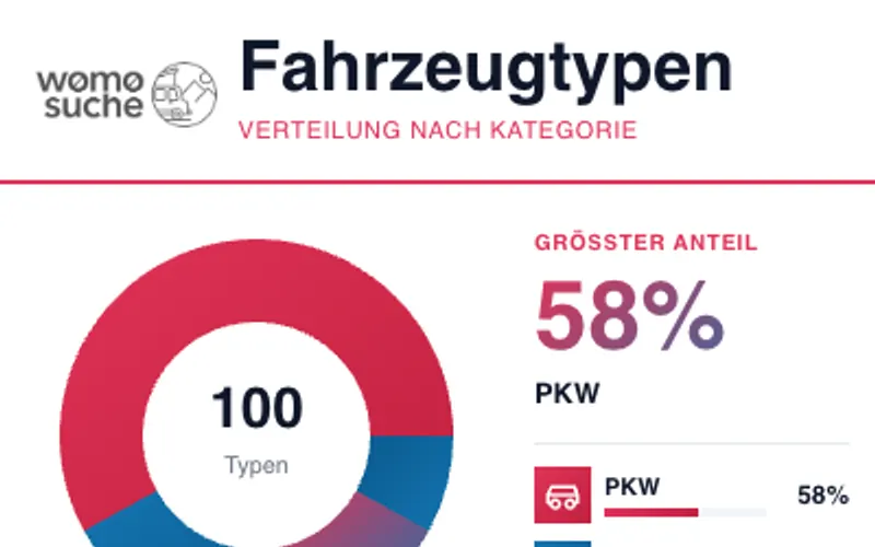 Infografik: Fahrzeugtypen Verteilung